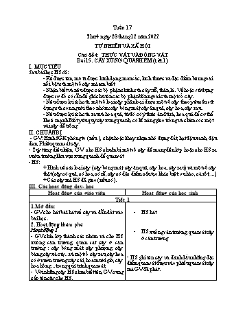 Kế hoạch bài dạy Tự nhiên và Xã hội Lớp 1 (Kết nối tri thức) - Chủ đề 4: Thực vật và động vật - Tuần 17, Bài 15: Cây xung quanh em (Tiết 1) - Năm học 2022-2023 - Trần Thị Long
