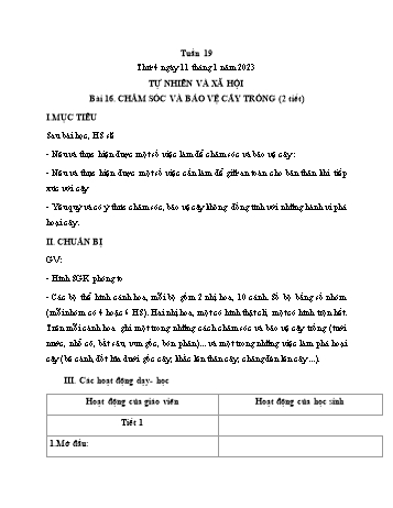 Kế hoạch bài dạy Tự nhiên và Xã hội Lớp 1 (Kết nối tri thức) - Chủ đề 4: Thực vật và động vật - Tuần 19, Bài 16: Chăm sóc và bảo vệ cây trồng - Năm học 2022-2023 - Trần Thị Long