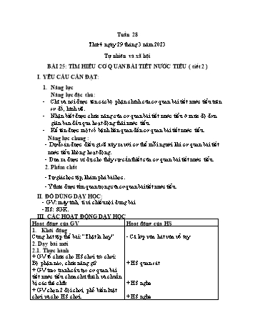 Kế hoạch bài dạy Tự nhiên và Xã hội Lớp 2 (Kết nối tri thức) - Tuần 28 - Năm học 2022-2023 - Trần Thị Long