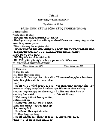 Kế hoạch bài dạy Tự nhiên và Xã hội Lớp 2 (Kết nối tri thức) - Tuần 21, Bài 19: Thực vật và động vật quanh em (Tiết 2+3) - Năm học 2022-2023 - Trần Thị Long