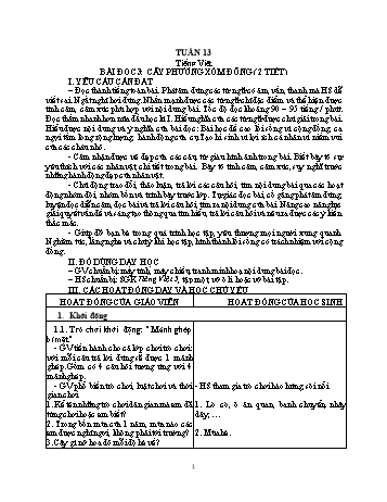 Giáo án các môn Khối 5 - Tuần 13